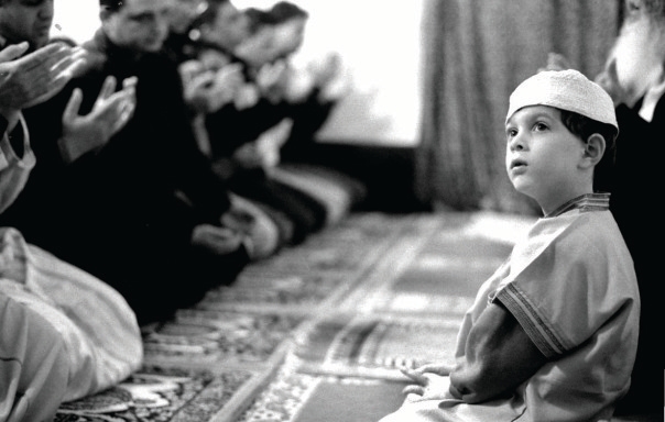 Uno degli scatti di Massimo D'Amato in mostra al Museo di Storia Naturale da venerdì 1 marzo