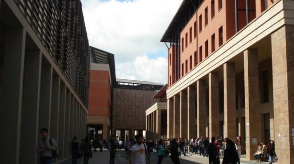 Università degli studi di Firenze, Polo delle Scienze Sociali