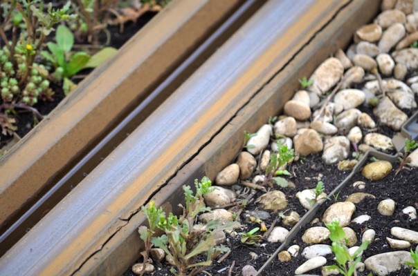 Il binario "sconnesso" è visibile dalla strada