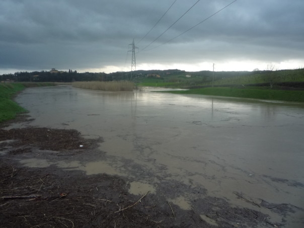 L'Ombrone allaga i campi a Lecore (Foto Marco Bartolommei)