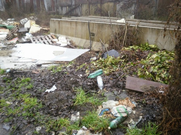 Altri scatti che testimoniano l'incuria della zona