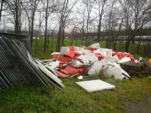 Il consigliere comunale Locchi chiede alla giunta di intervenire