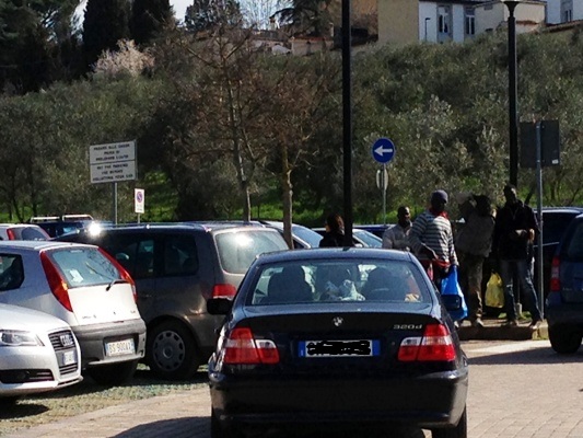 Non uno o due presenza, bensì veri e propri gruppi di volponi