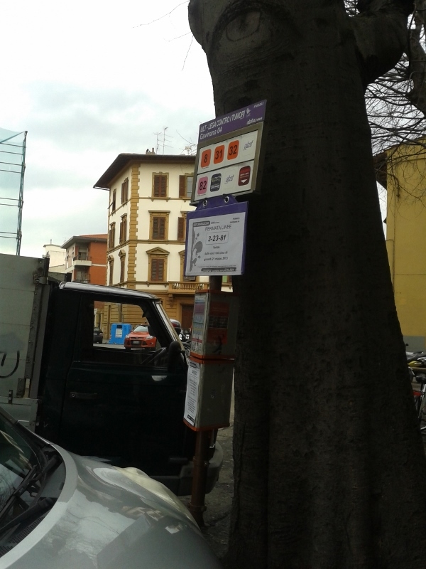 La fermata del bus in questione, letteralmente incastrata tra le auto e gli alberi