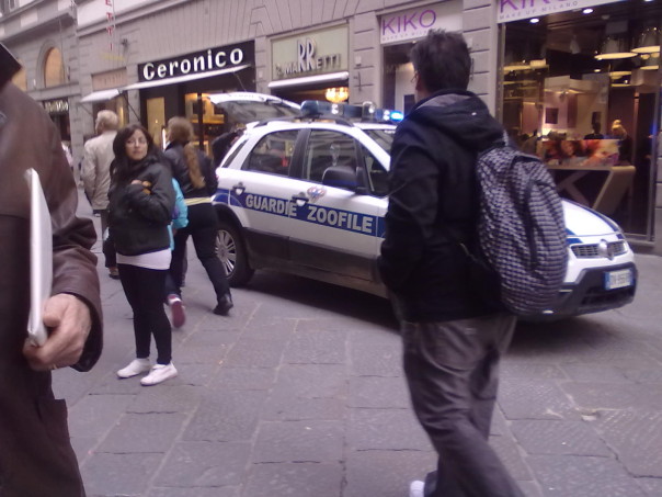 Le guardie zoofile arrivate dopo la rissa dei punkabbestia