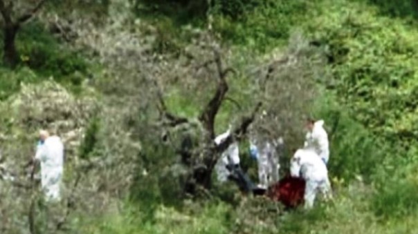 Luogo del ritrovamento di Ilaria nell'oliveto di Castagneto Carducci