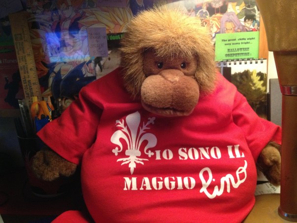 La maglietta Io sono il Maggio in 'versione bimbo'