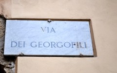 Via dei Georgofili
