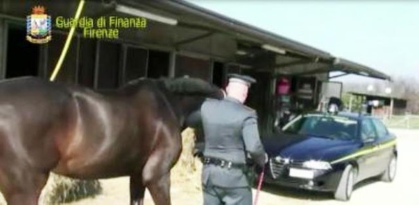 Operazione «Ronzinante» della Guardia di Finanza di Firenze contro il clan camorristico Terracciano