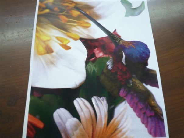 Un foulard della Faliero Sarti