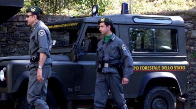 Sequestri e perquisizioni del Corpo Forestale dello Stato