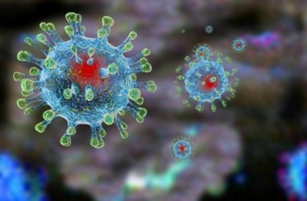 Il virus della Nuova Sars