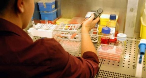 Nuova Sars, l'allarme a Firenze potrebbe rientrare entro fine settimana