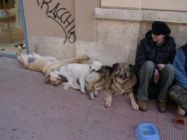 Punkabbestia e cani nel centro di Firenze