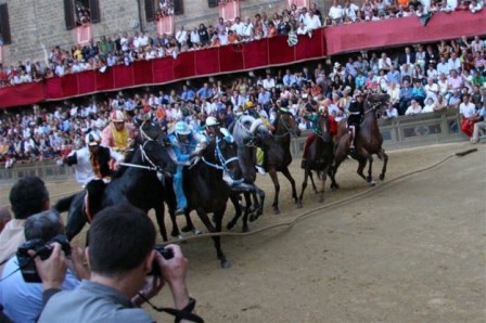 palio carriera provenzano piccola
