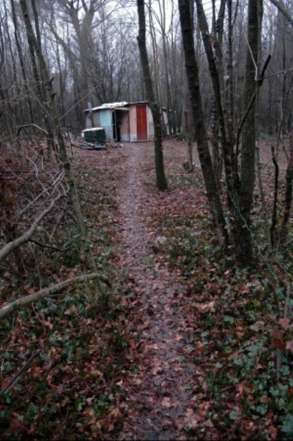La capanna nel bosco dove ha trovato rifugio una famiglia nell'aretino