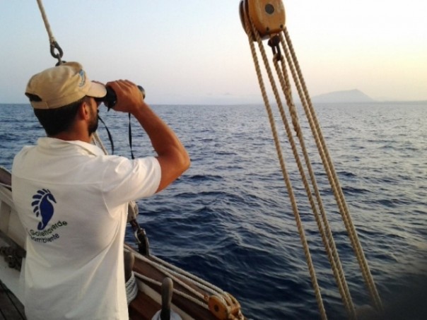 I dati sulle infrazioni in mare diffusi nel corso di Festambiente a Rispescia