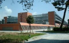 L'ospedale unico della Versilia