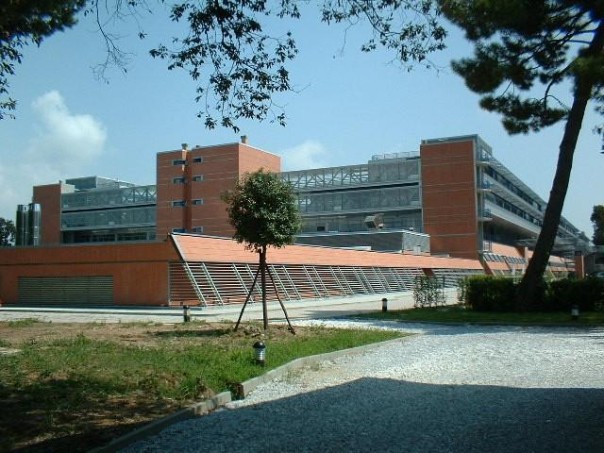 L'ospedale unico della Versilia