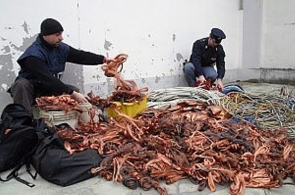 Ingente furto di rame scoperto dalla Polizia