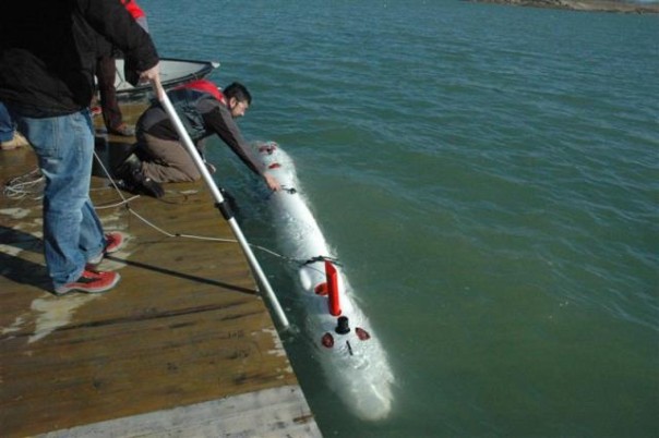 TifOne», un robot subacqueo tecnologicamente avanzato