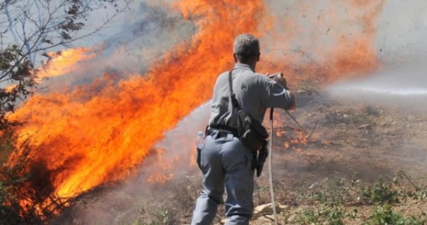 Distrutti nell'incendio 50o metri di sterpaglie
