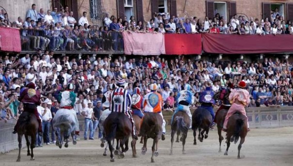 La Provaccia va all'Onda