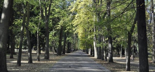Il parco delle Cascine a Firenze