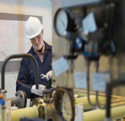 Anziani più lavoratori e meno nonni