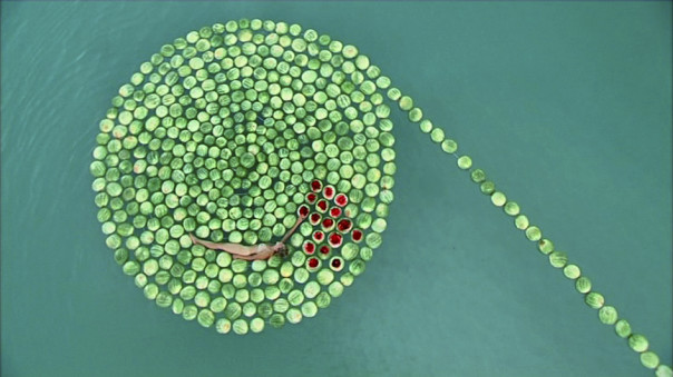 DeadSee, di Sigalit Landau, 2005, Video (Courtesy the artist)