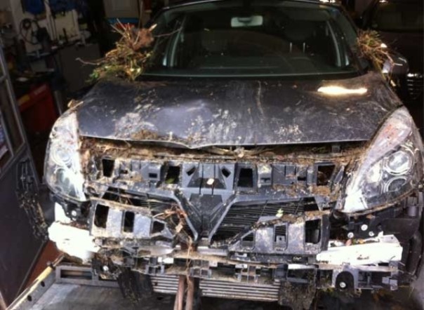 Trovata l'auto vuota dei due dispersi nel grossetano