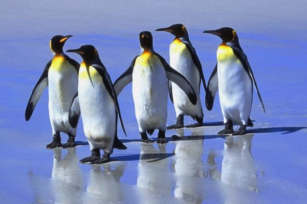 Freddo e gelo in arrivo in Toscana