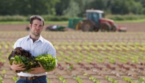 I giovani lavorano negli agriturismi
