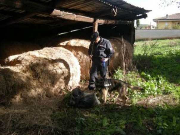 Il fienile dove è stata trovata la droga