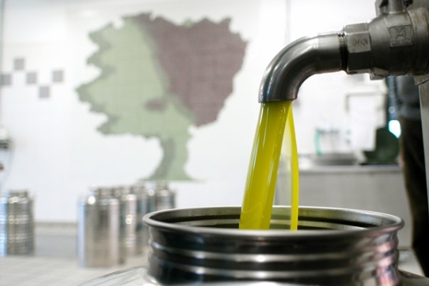 Olio toscano, produzione medio-buona
