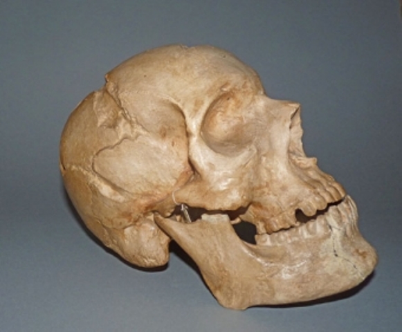 Studio sulle sepolture minori de' Medici