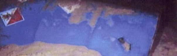 Fusti tossici in mare alla Gorgona