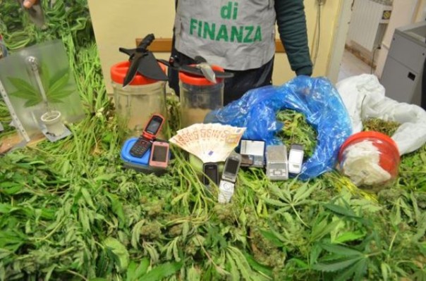 La droga e i contanti sequestrati dalla Gdf