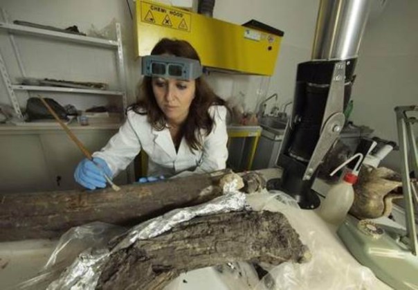 Le zanne di elefante preistoriche