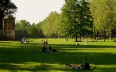 Navigazione internet continua alle Cascine