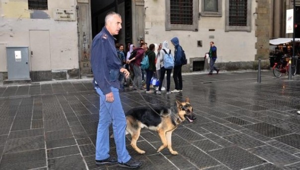 Pando, il cane poliziotto fiorentino