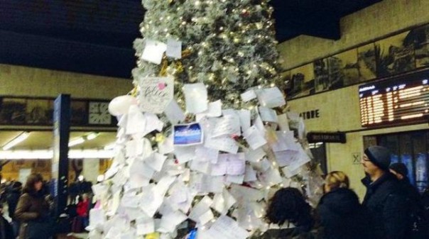 I centinaia di messaggi appesi sull'albero fiorentino