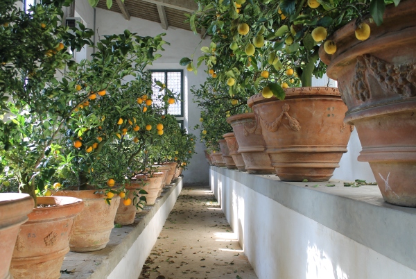 Limonaia del Giardino di Boboli