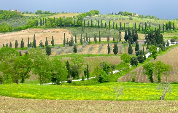 Tuscany hills Italy