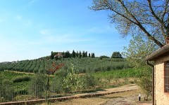 Campagna toscana