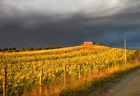 Meteo, sole e pioggia