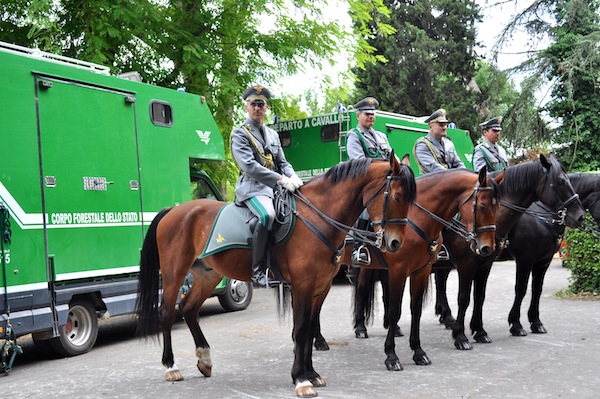 Equipaggi a cavallo della Forestale
