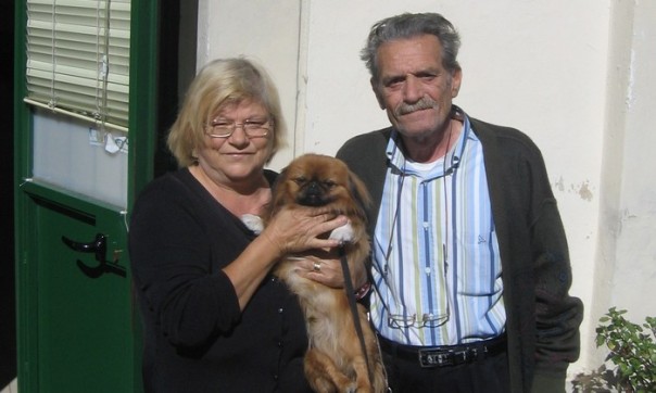 Il cagnolino pechinese smarrito in Sicilia e ritrovato a Firenze