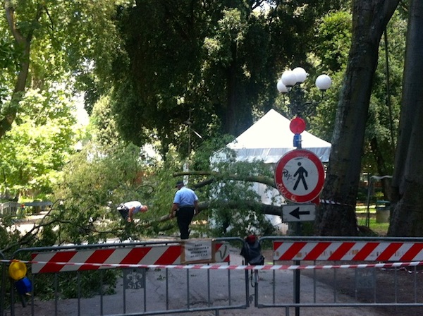 Il punto dove ieri sera un albero killer ha ucciso una donna che stava camminando