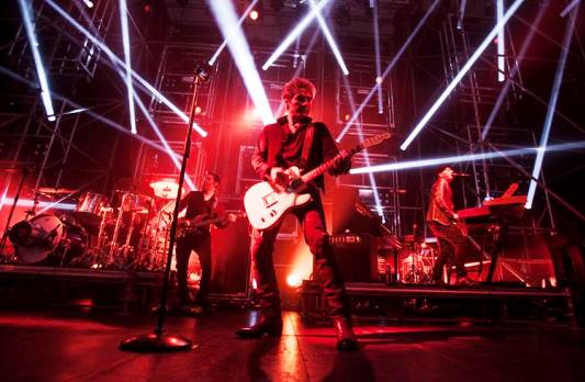 Il rocker Luciano Ligabue in concerto (foto dal suo diario Facebook)